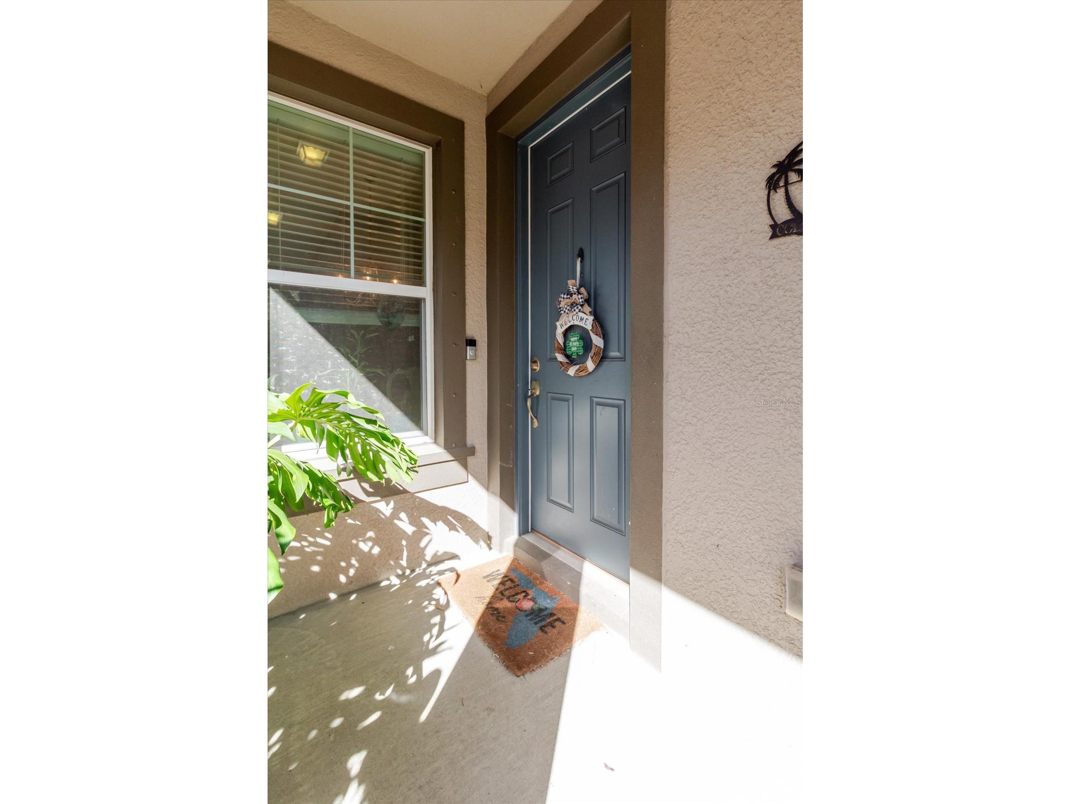 6516 Salt Creek Avenue Apollo Beach FL 33572 TB8486131 image10
