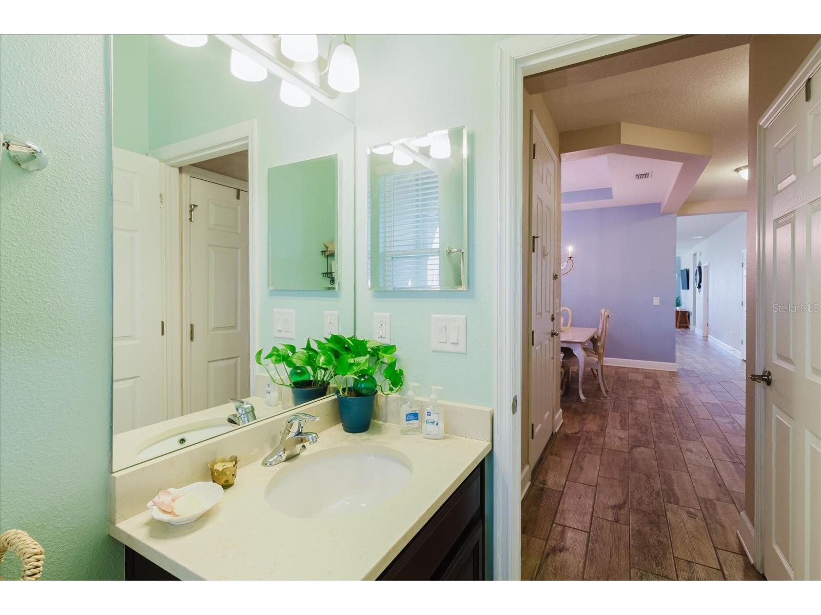 6516 Salt Creek Avenue Apollo Beach FL 33572 TB8486131 image16