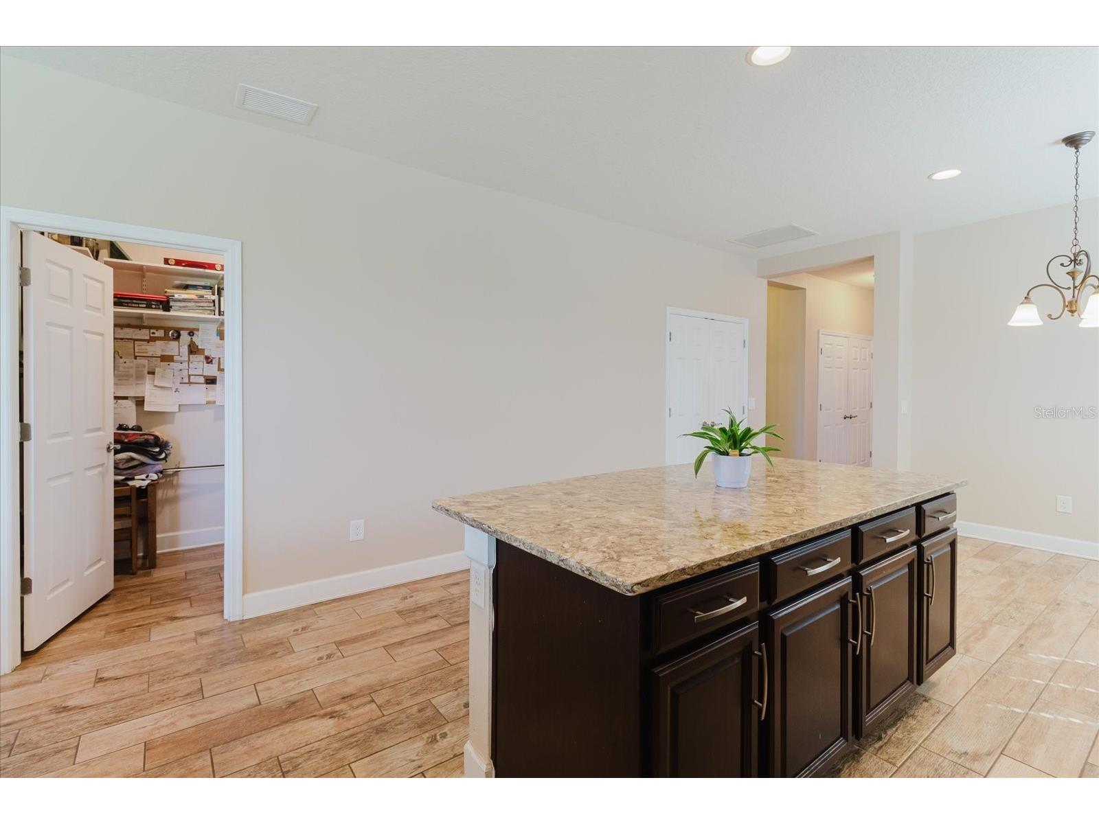 6516 Salt Creek Avenue Apollo Beach FL 33572 TB8486131 image22