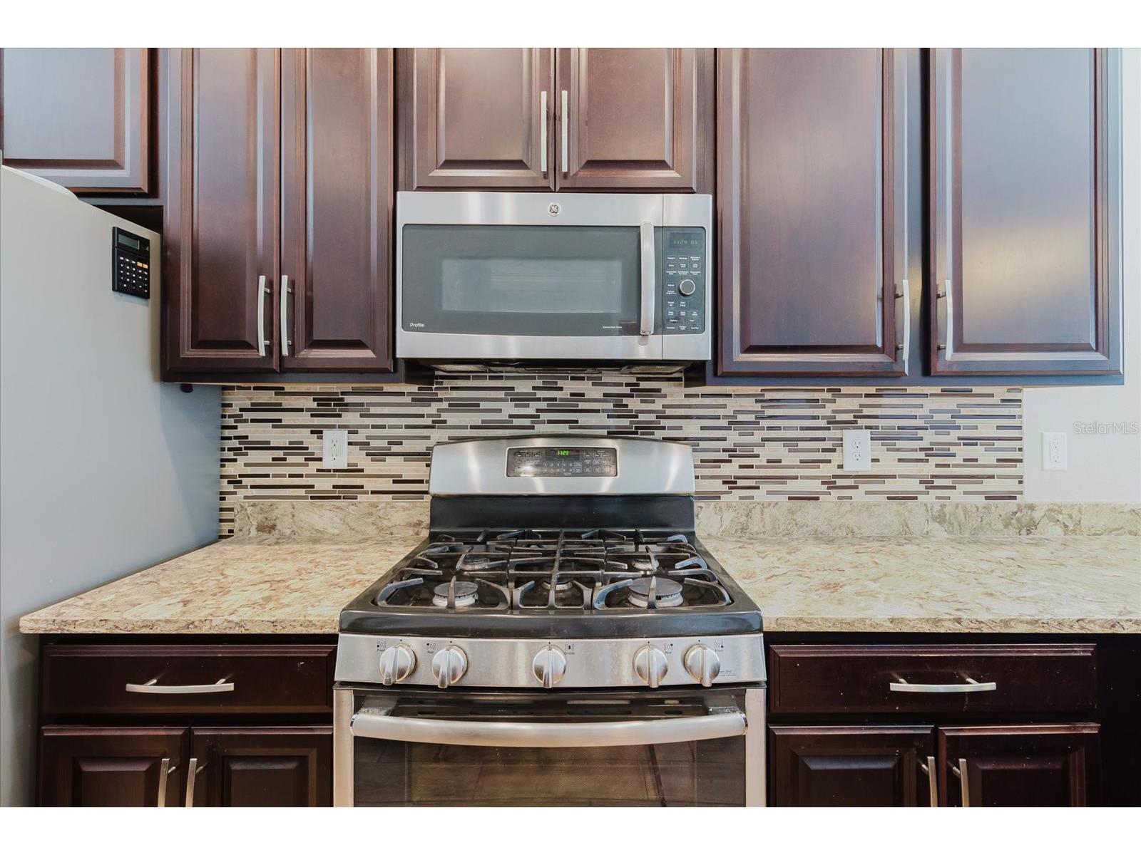 6516 Salt Creek Avenue Apollo Beach FL 33572 TB8486131 image26