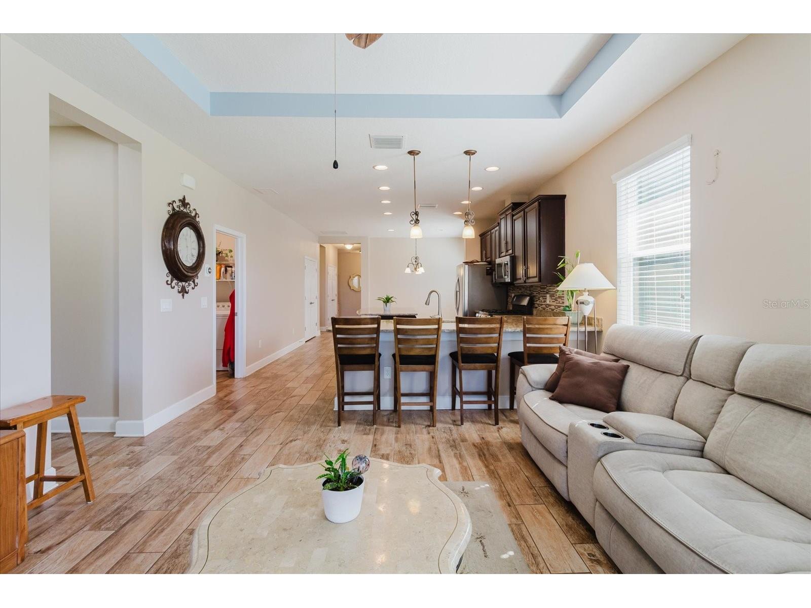 6516 Salt Creek Avenue Apollo Beach FL 33572 TB8486131 image30