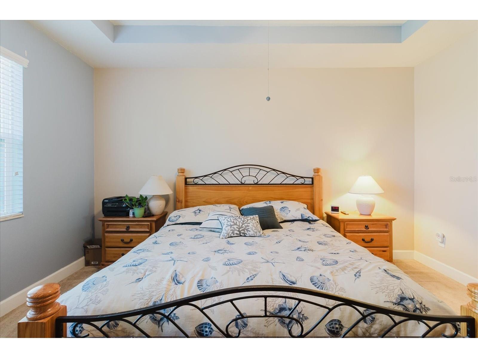 6516 Salt Creek Avenue Apollo Beach FL 33572 TB8486131 image35