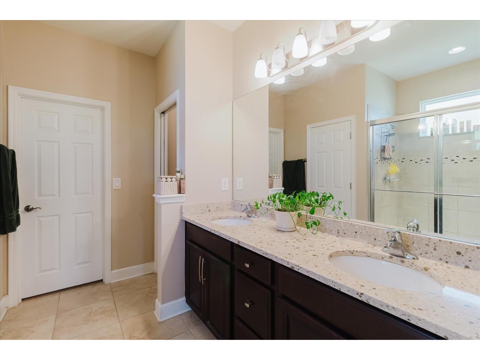 6516 Salt Creek Avenue Apollo Beach FL 33572 TB8486131 image39