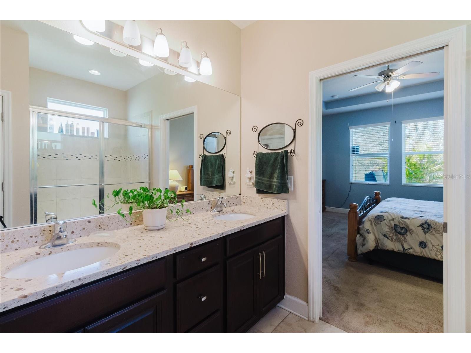 6516 Salt Creek Avenue Apollo Beach FL 33572 TB8486131 image40