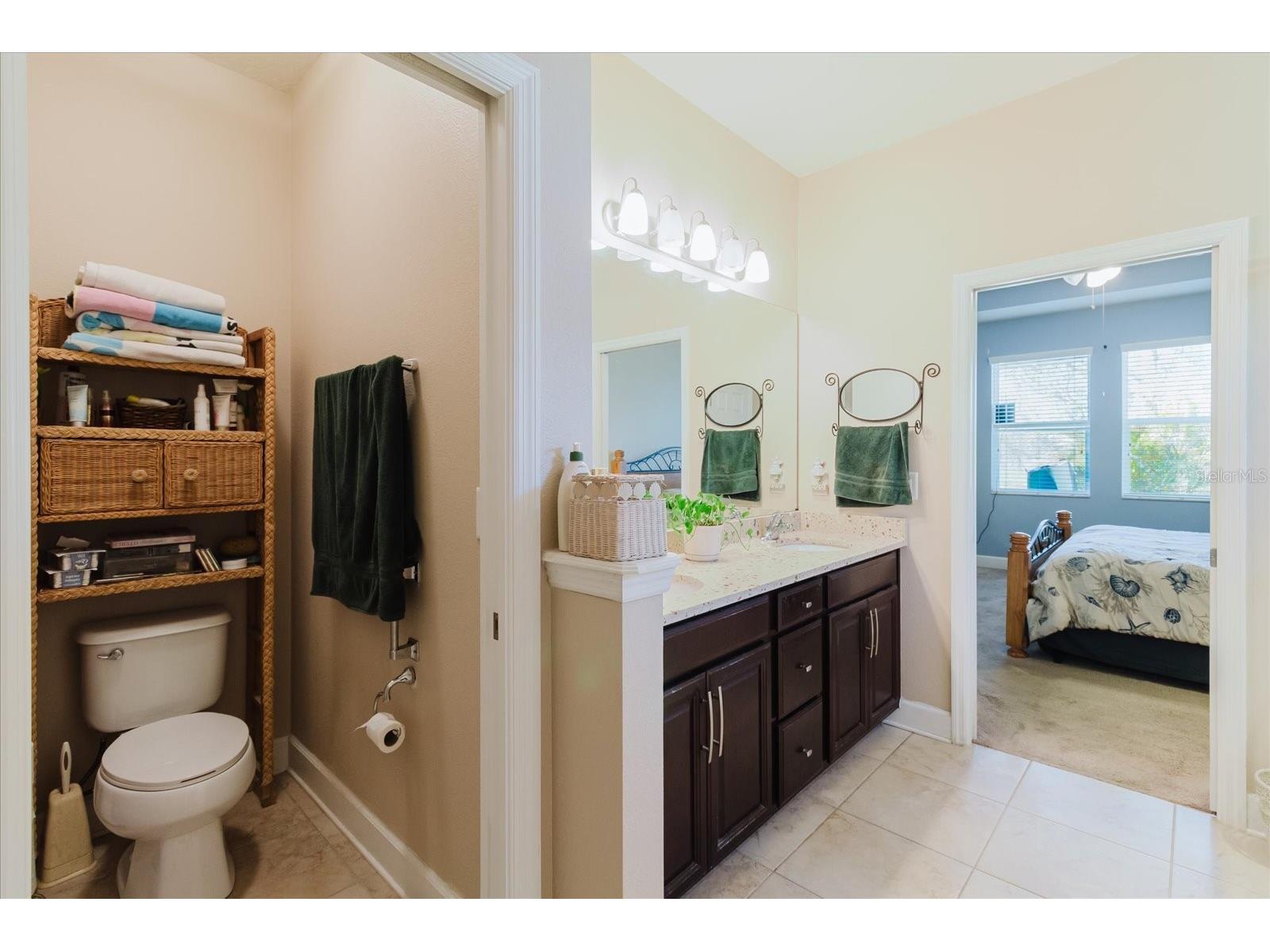 6516 Salt Creek Avenue Apollo Beach FL 33572 TB8486131 image41