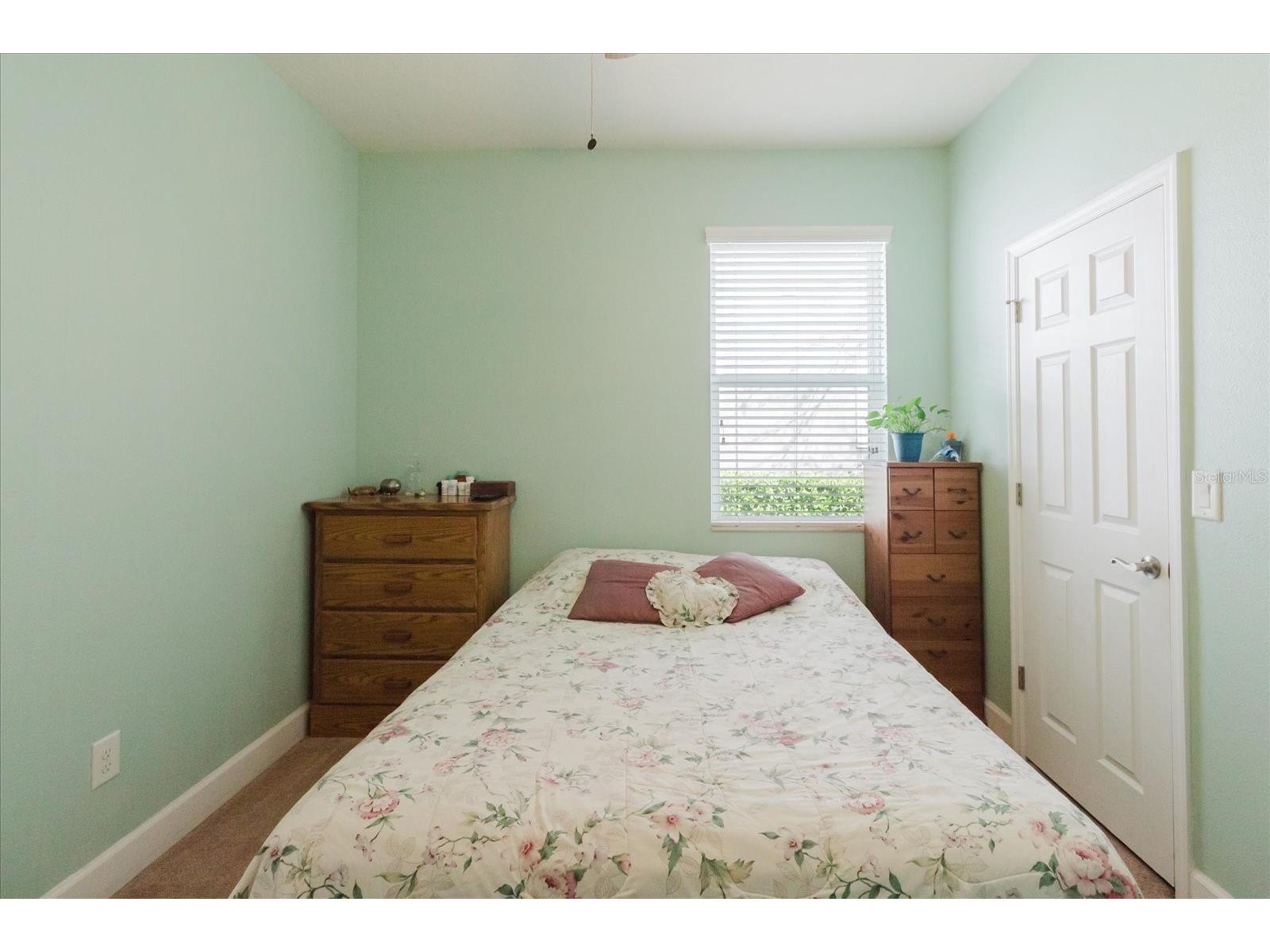 6516 Salt Creek Avenue Apollo Beach FL 33572 TB8486131 image45