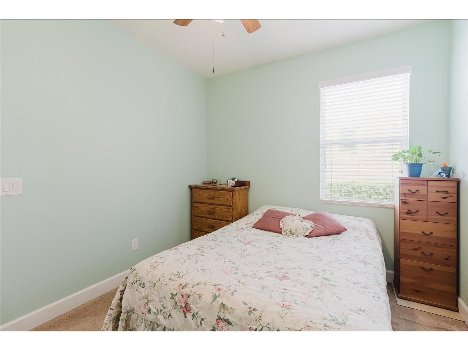 6516 Salt Creek Avenue Apollo Beach FL 33572 TB8486131 image46