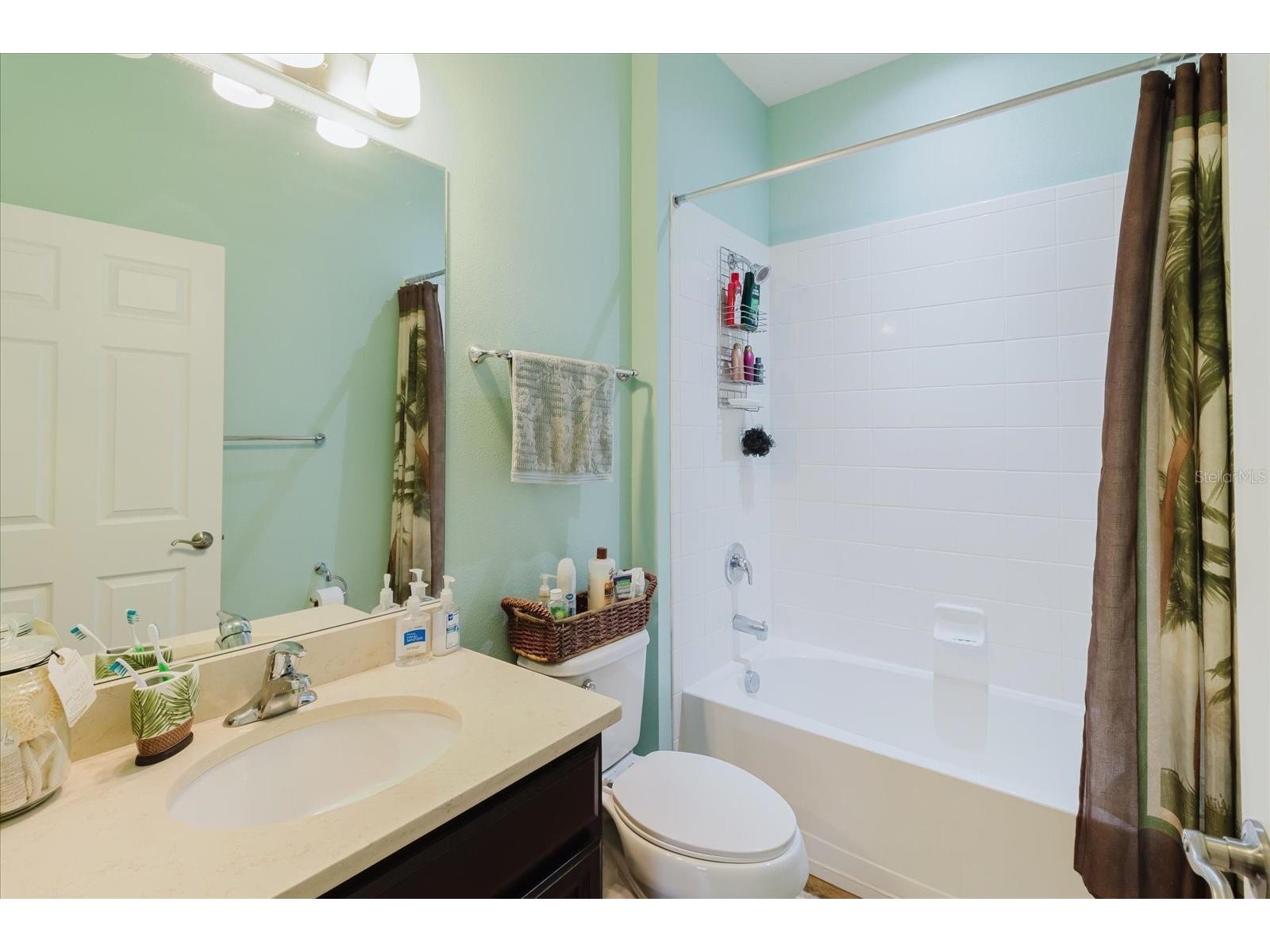 6516 Salt Creek Avenue Apollo Beach FL 33572 TB8486131 image47