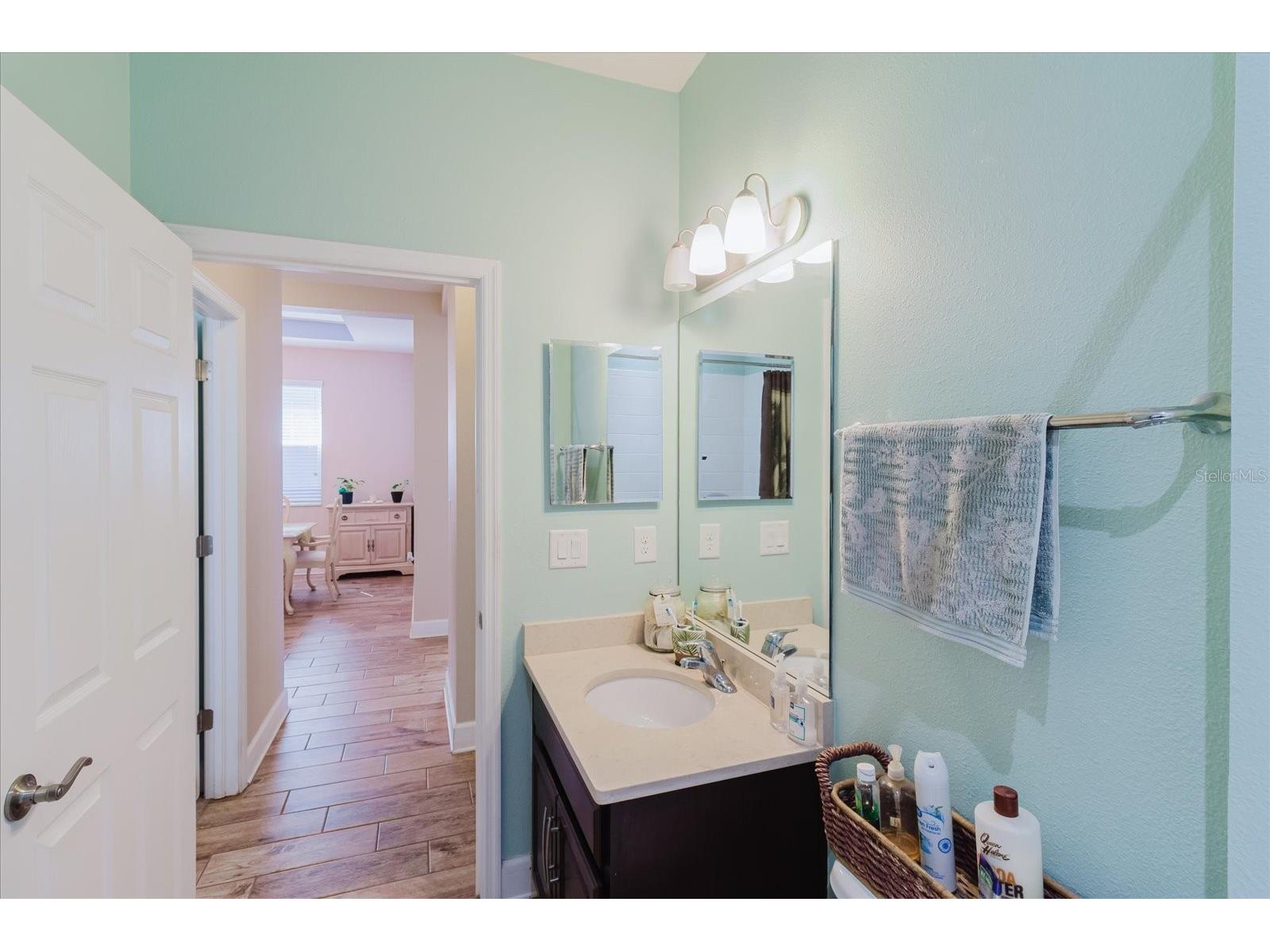 6516 Salt Creek Avenue Apollo Beach FL 33572 TB8486131 image48