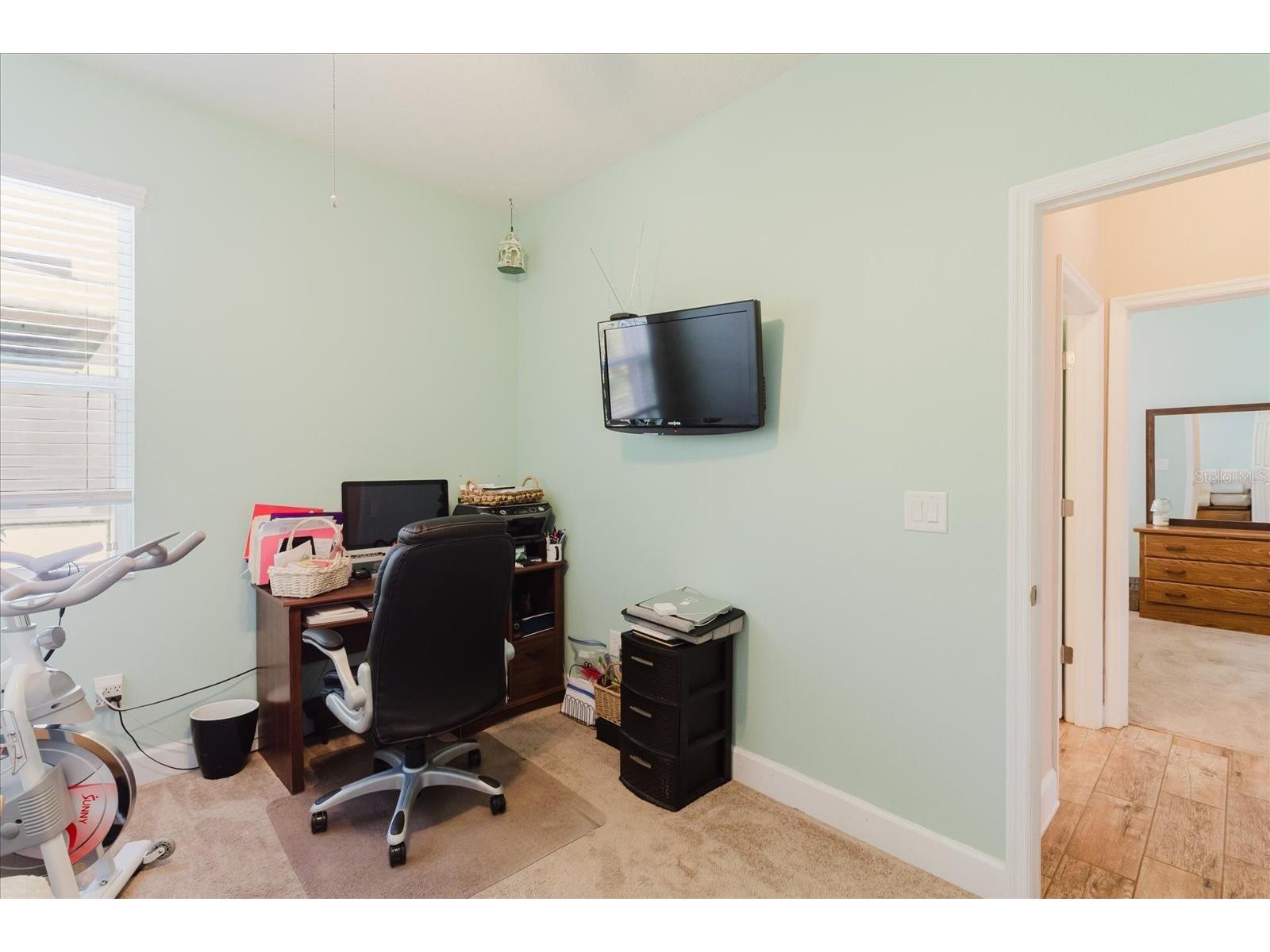 6516 Salt Creek Avenue Apollo Beach FL 33572 TB8486131 image50