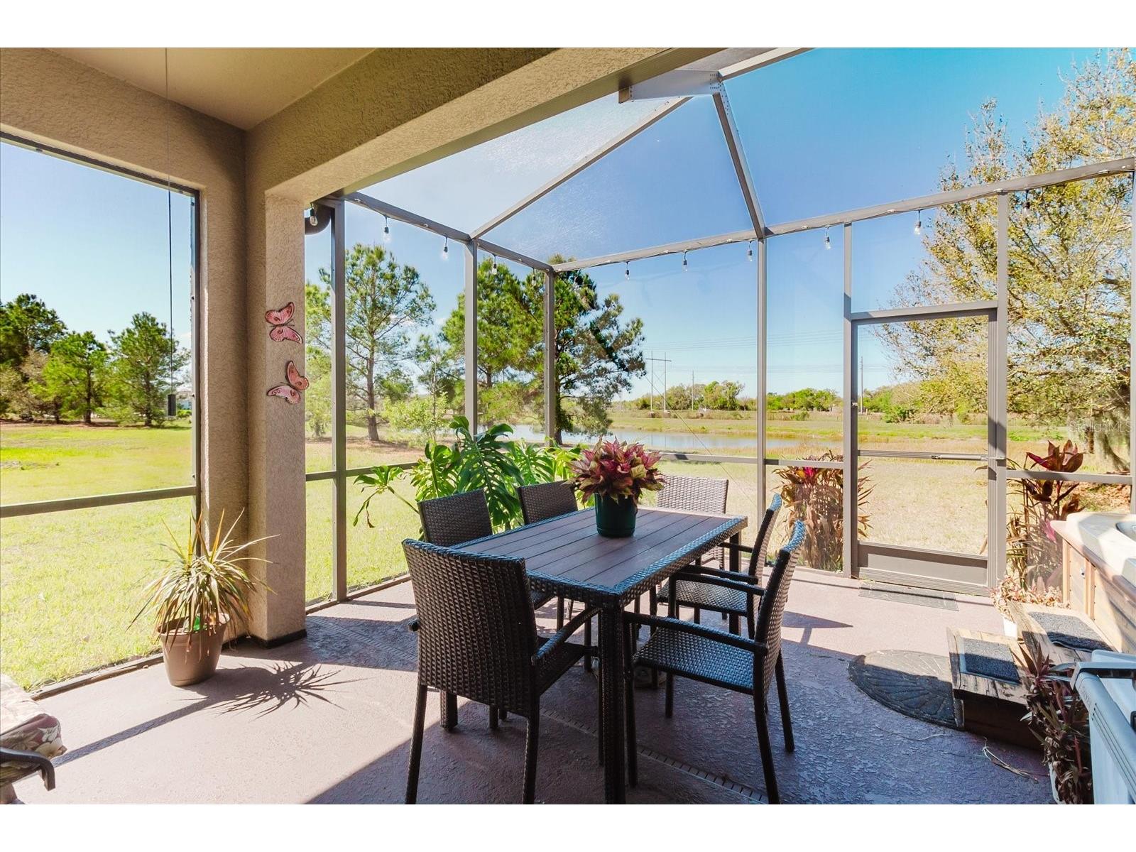 6516 Salt Creek Avenue Apollo Beach FL 33572 TB8486131 image56