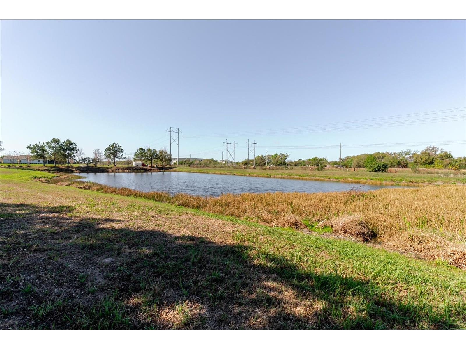 6516 Salt Creek Avenue Apollo Beach FL 33572 TB8486131 image6