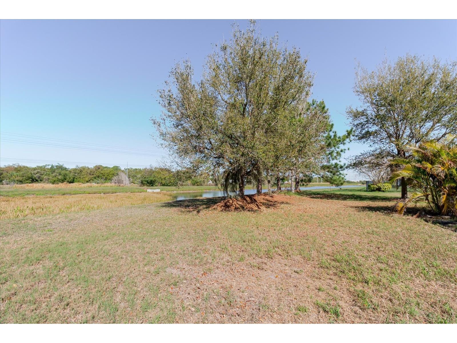6516 Salt Creek Avenue Apollo Beach FL 33572 TB8486131 image65