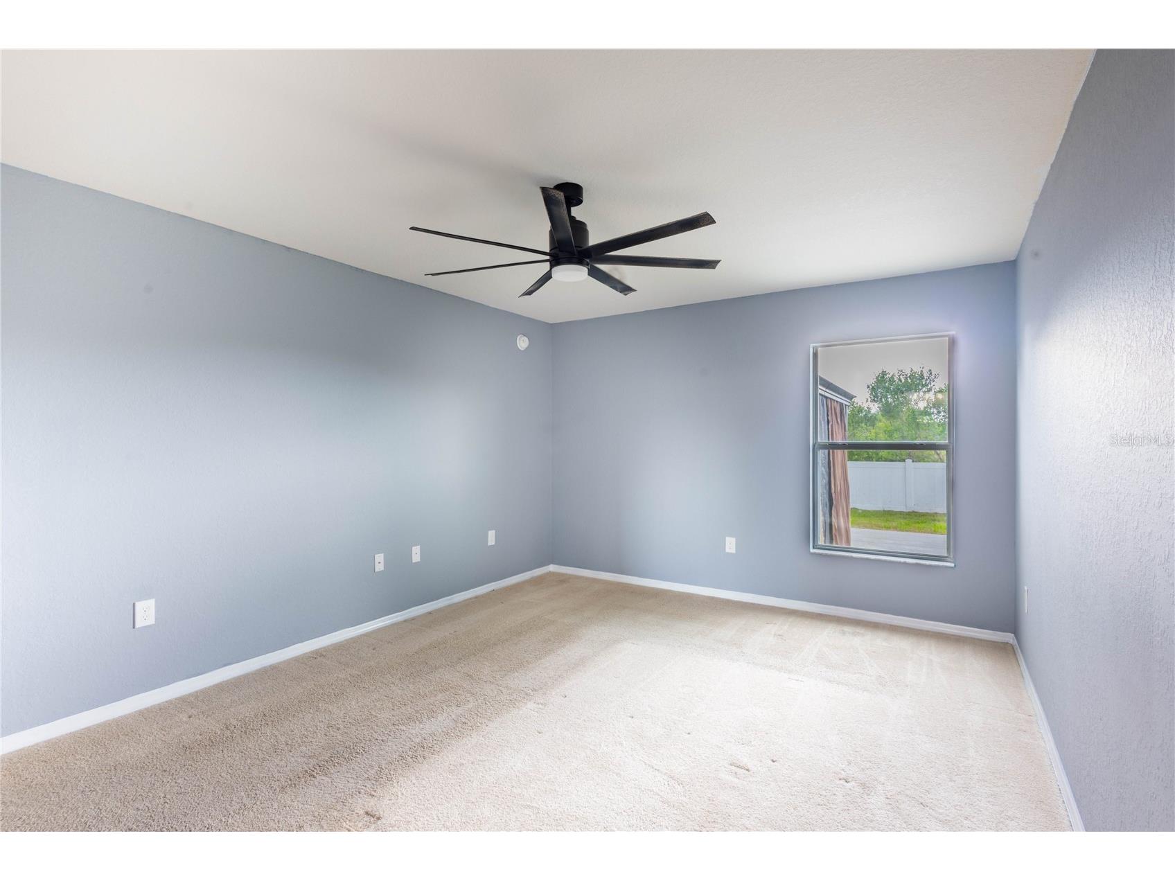 6517 Bayston Hill Place Zephyrhills FL 33541 W7884560 image10