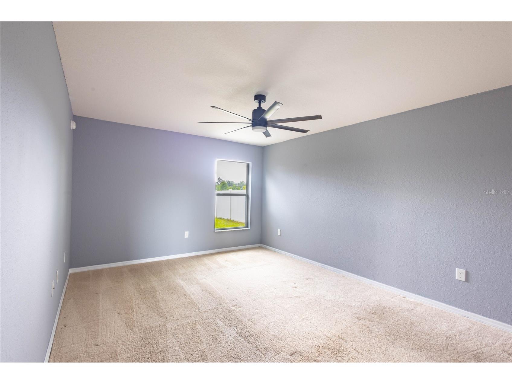6517 Bayston Hill Place Zephyrhills FL 33541 W7884560 image11