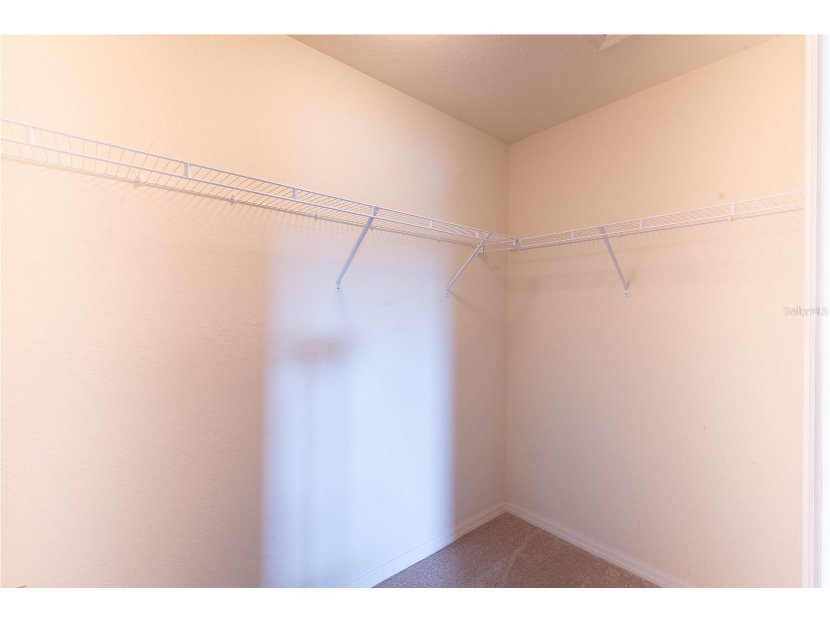 6517 Bayston Hill Place Zephyrhills FL 33541 W7884560 image13