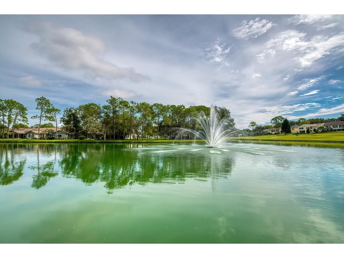 6517 Ocean Pines Lane Spring Hill FL 34606 TB8436086 image43