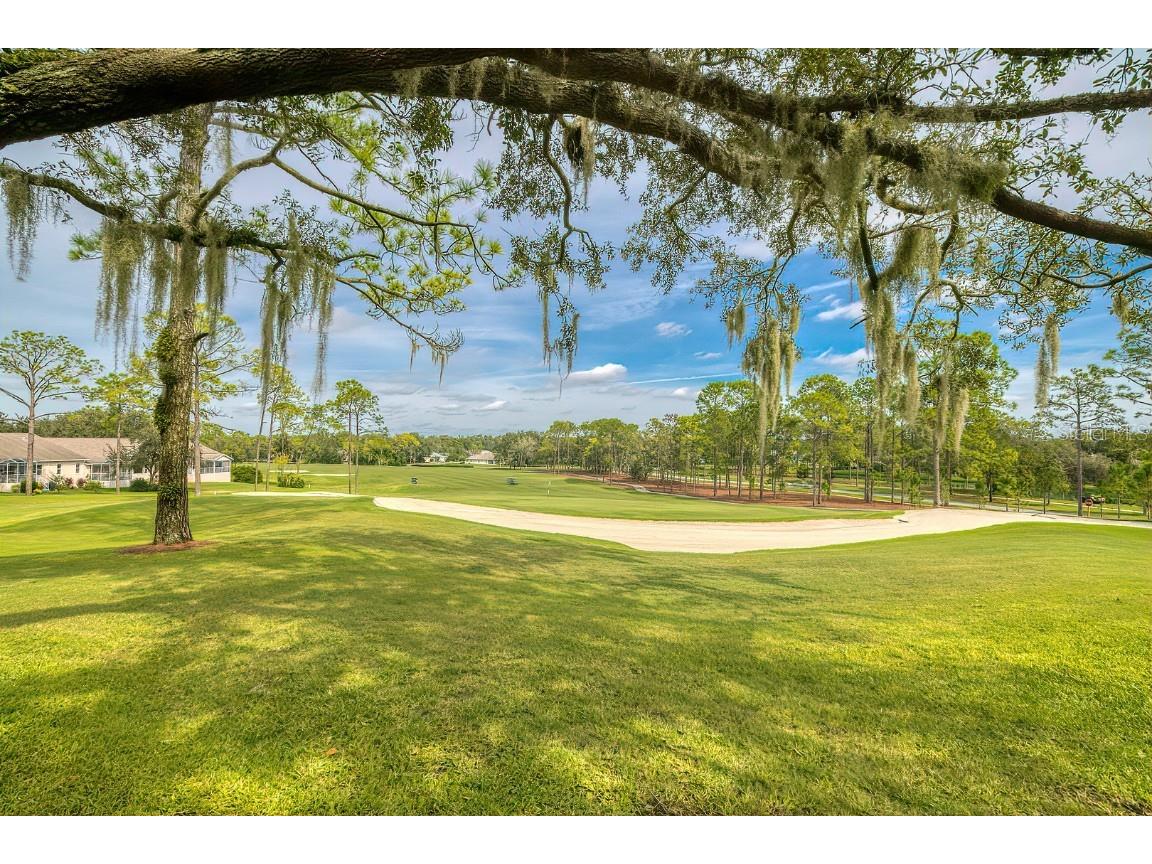 6517 Ocean Pines Lane Spring Hill FL 34606 TB8436086 image49