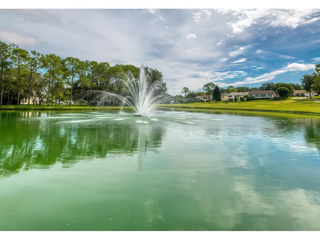 6517 Ocean Pines Lane Spring Hill FL 34606 TB8436086 image50