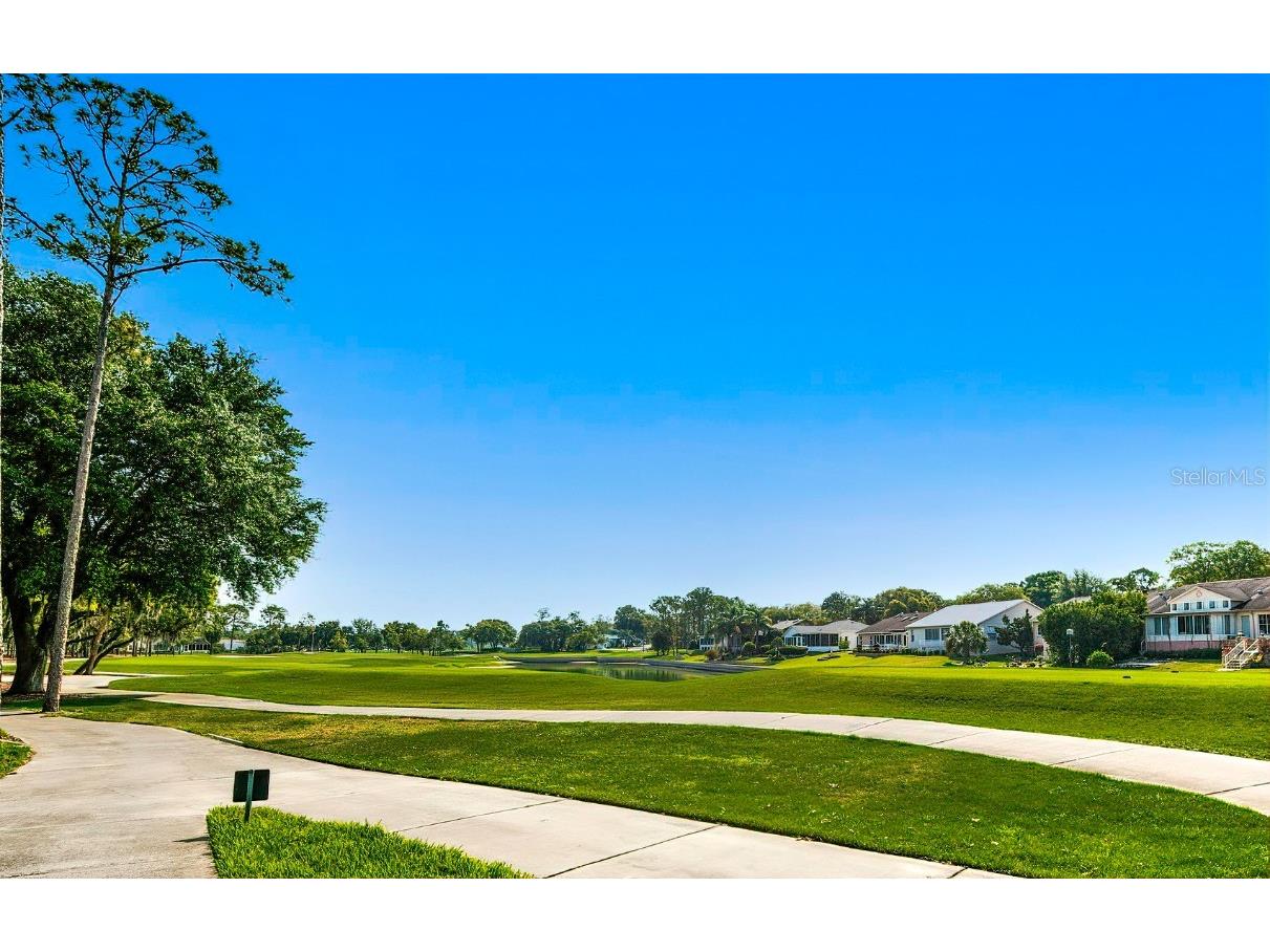 6517 Ocean Pines Lane Spring Hill FL 34606 TB8436086 image55