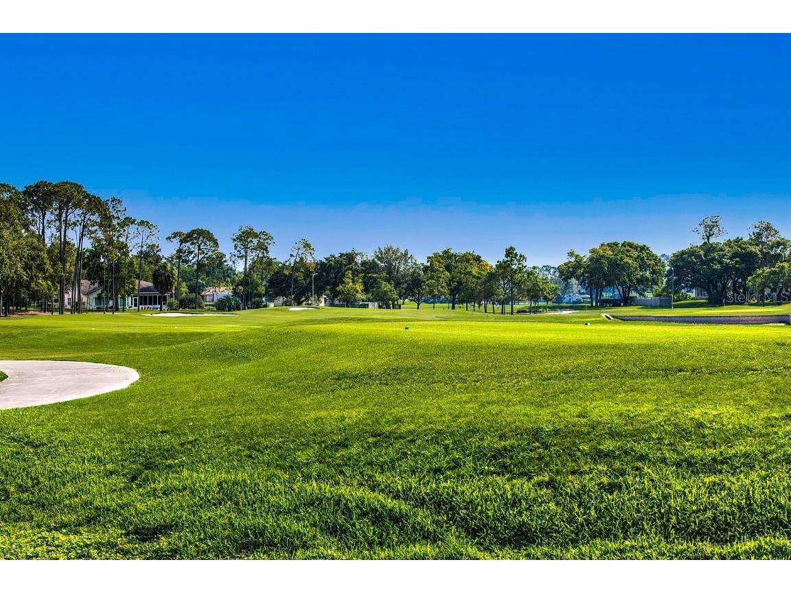 6517 Ocean Pines Lane Spring Hill FL 34606 TB8436086 image58