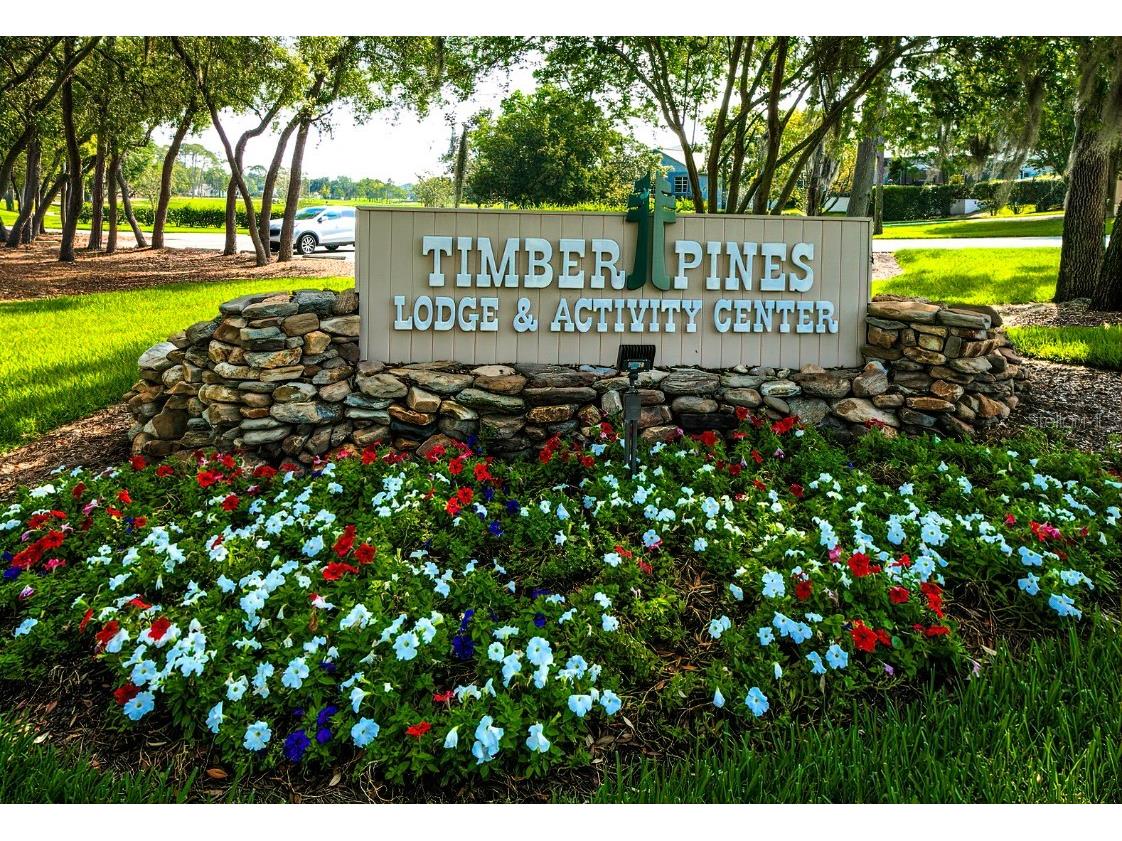 6517 Ocean Pines Lane Spring Hill FL 34606 TB8436086 image59