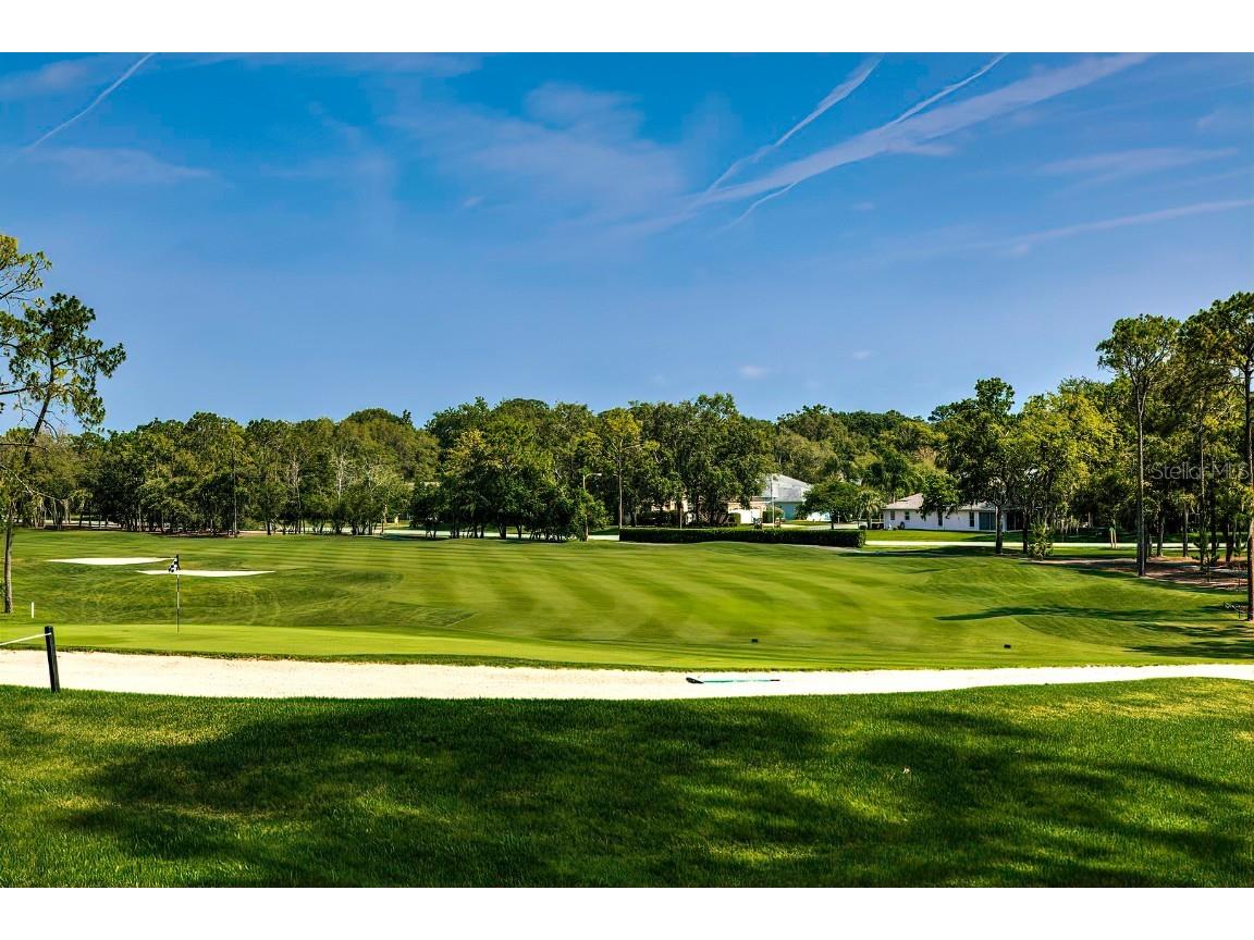 6517 Ocean Pines Lane Spring Hill FL 34606 TB8436086 image65