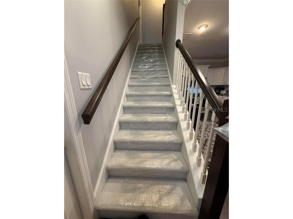 6517 Spring Oak Court Tampa FL 33625 O6366134 image20