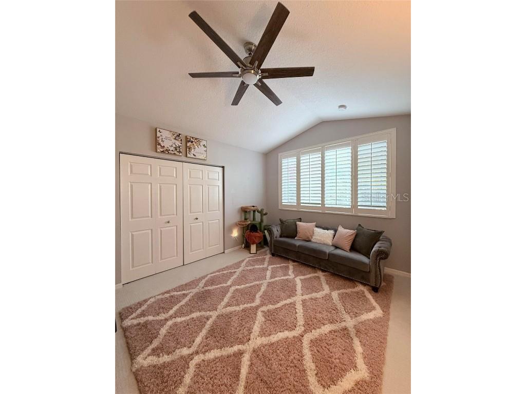 6517 Spring Oak Court Tampa FL 33625 O6366134 image21