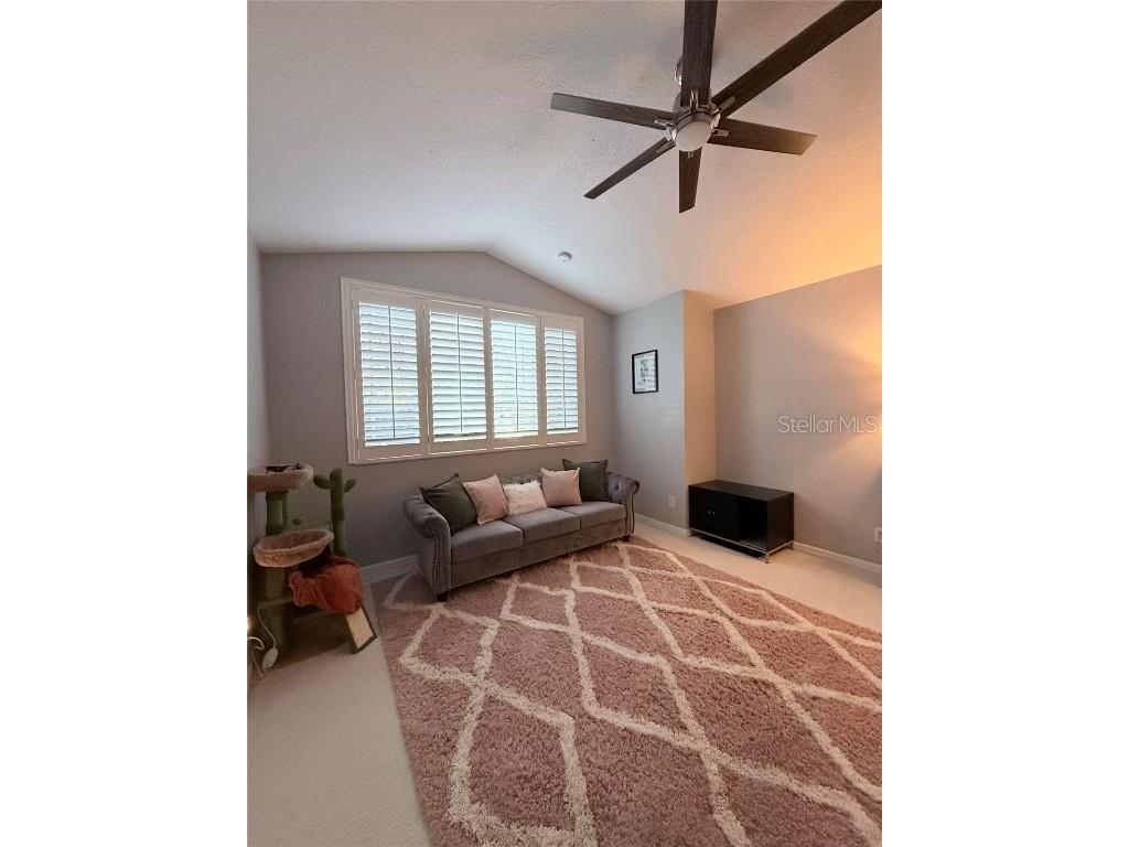 6517 Spring Oak Court Tampa FL 33625 O6366134 image22