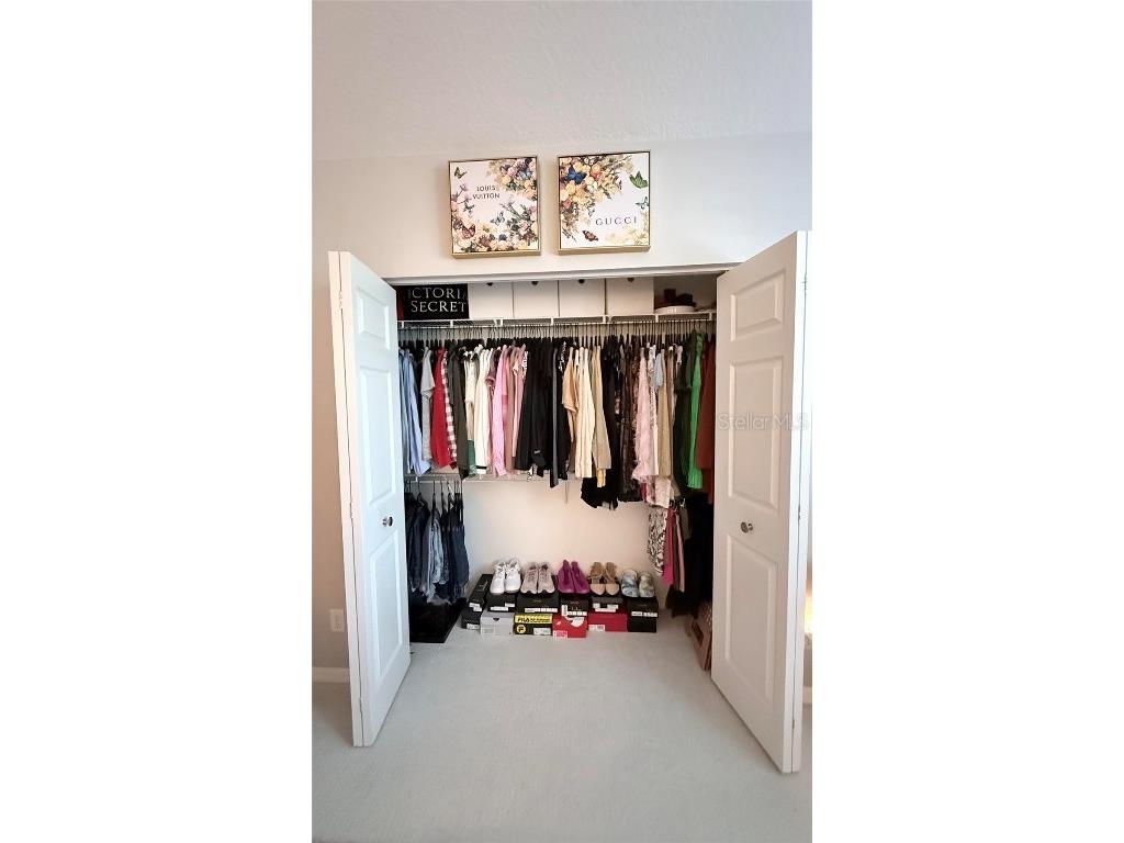 6517 Spring Oak Court Tampa FL 33625 O6366134 image24