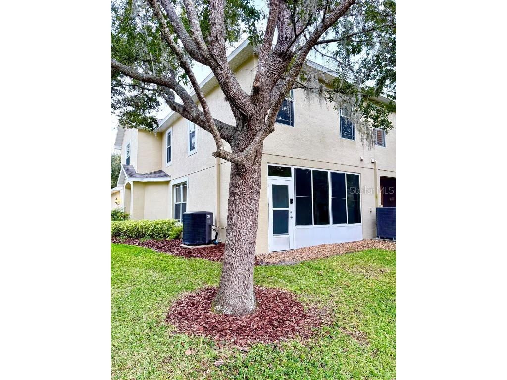 6517 Spring Oak Court Tampa FL 33625 O6366134 image5