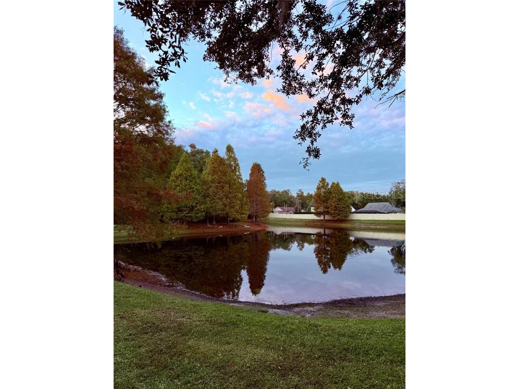 6517 Spring Oak Court Tampa FL 33625 O6366134 image50