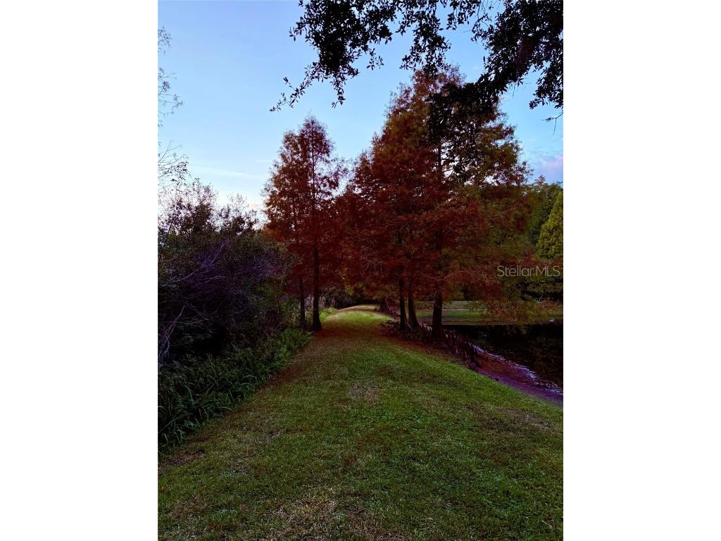 6517 Spring Oak Court Tampa FL 33625 O6366134 image51