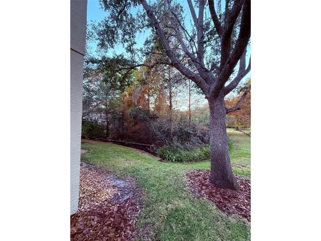 6517 Spring Oak Court Tampa FL 33625 O6366134 image52