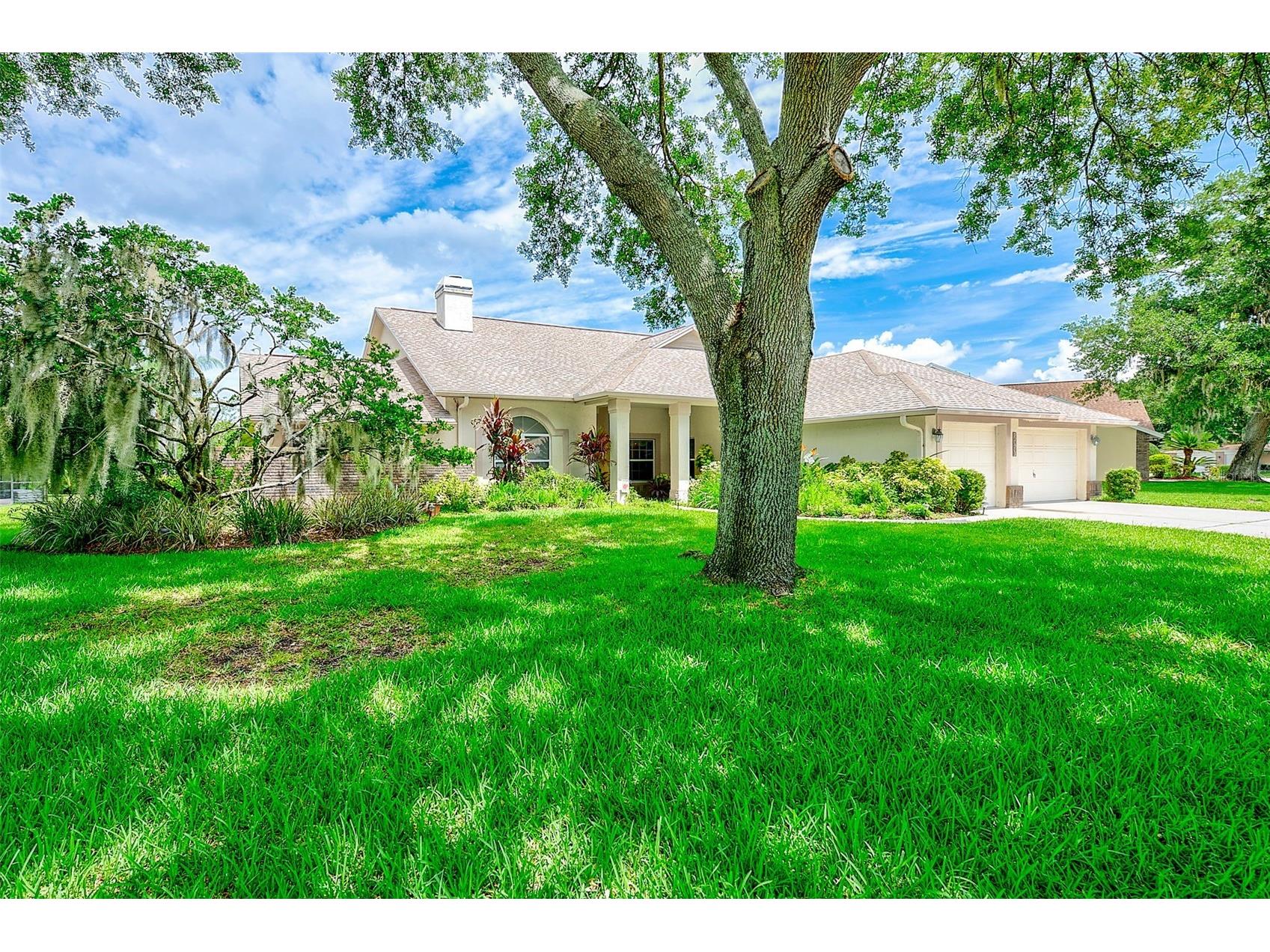 6517 Thoroughbred Loop Odessa FL 33556 TB8500967 image16
