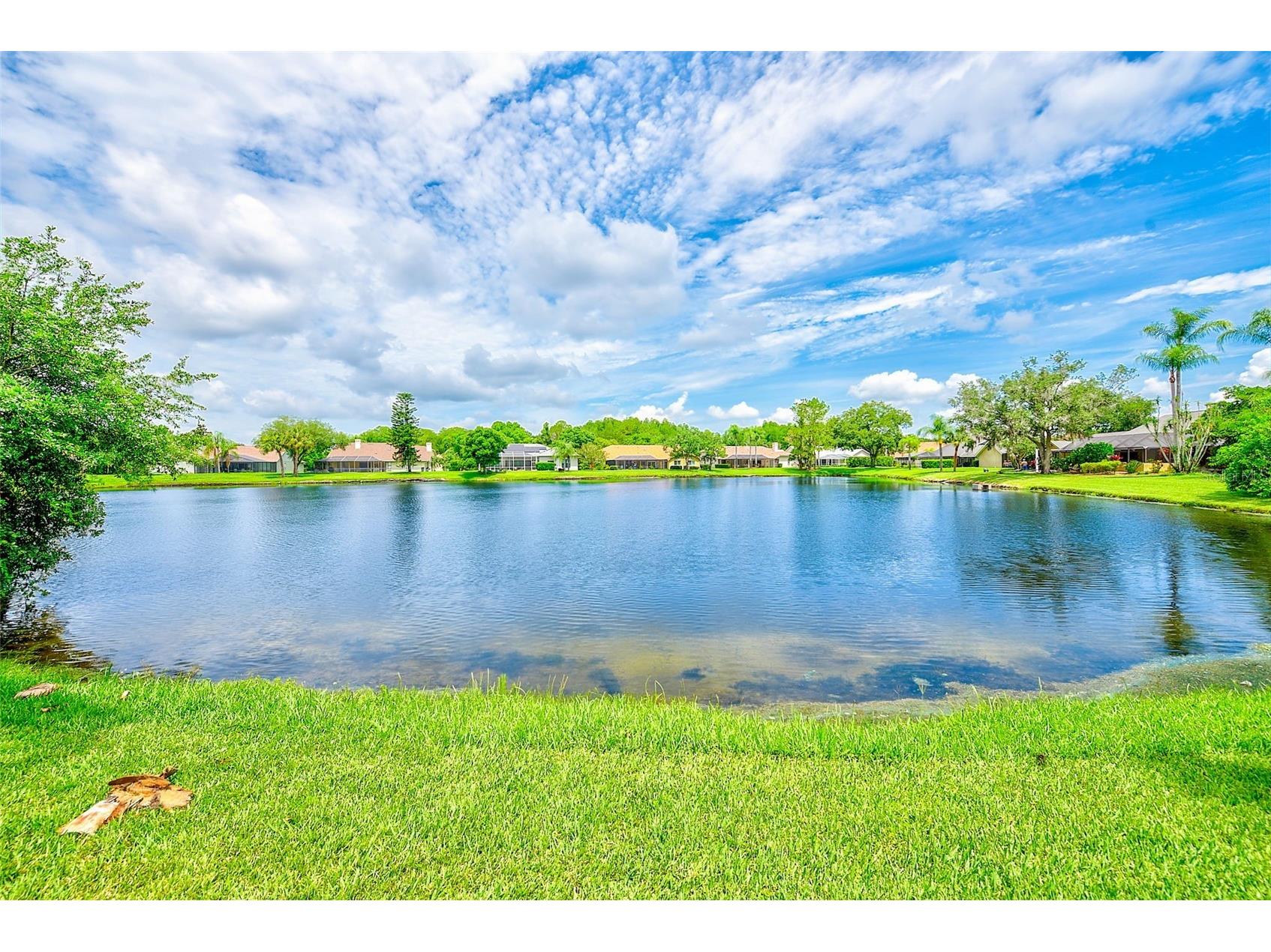 6517 Thoroughbred Loop Odessa FL 33556 TB8500967 image23