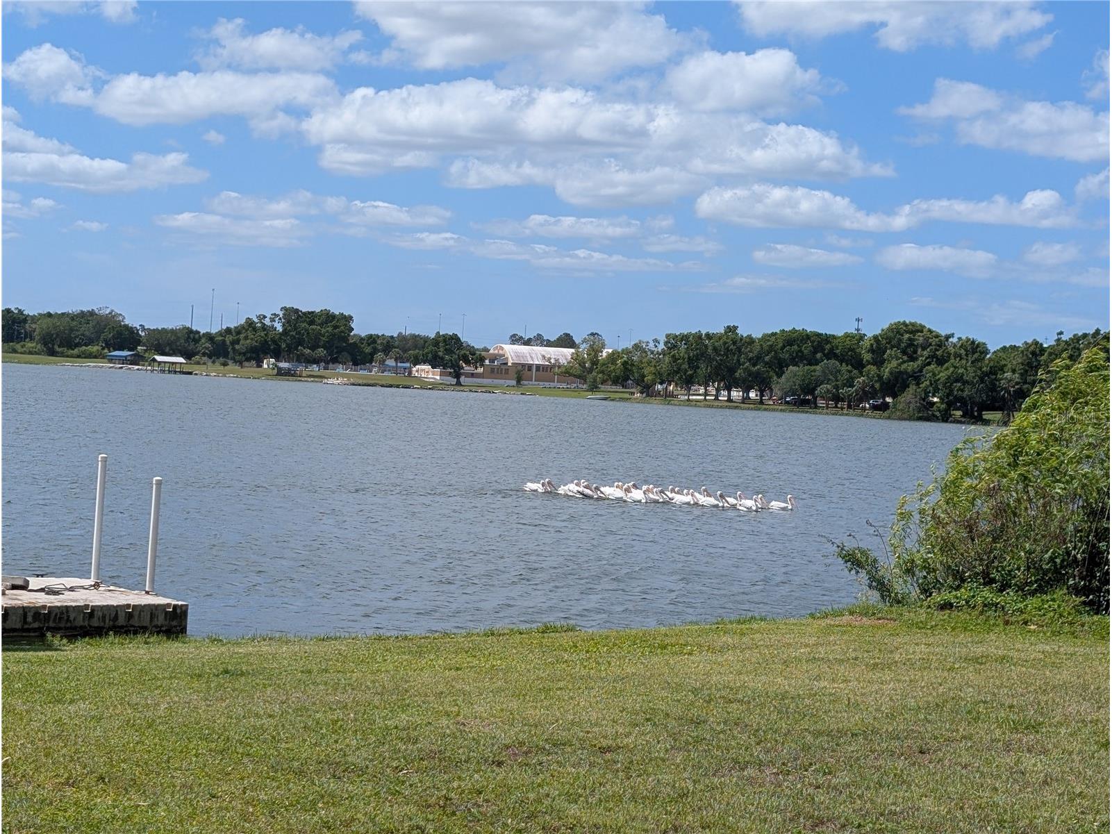 6517 Walton Way Tampa FL 33610 - BELLOW'S LAKE TB8480787 image48