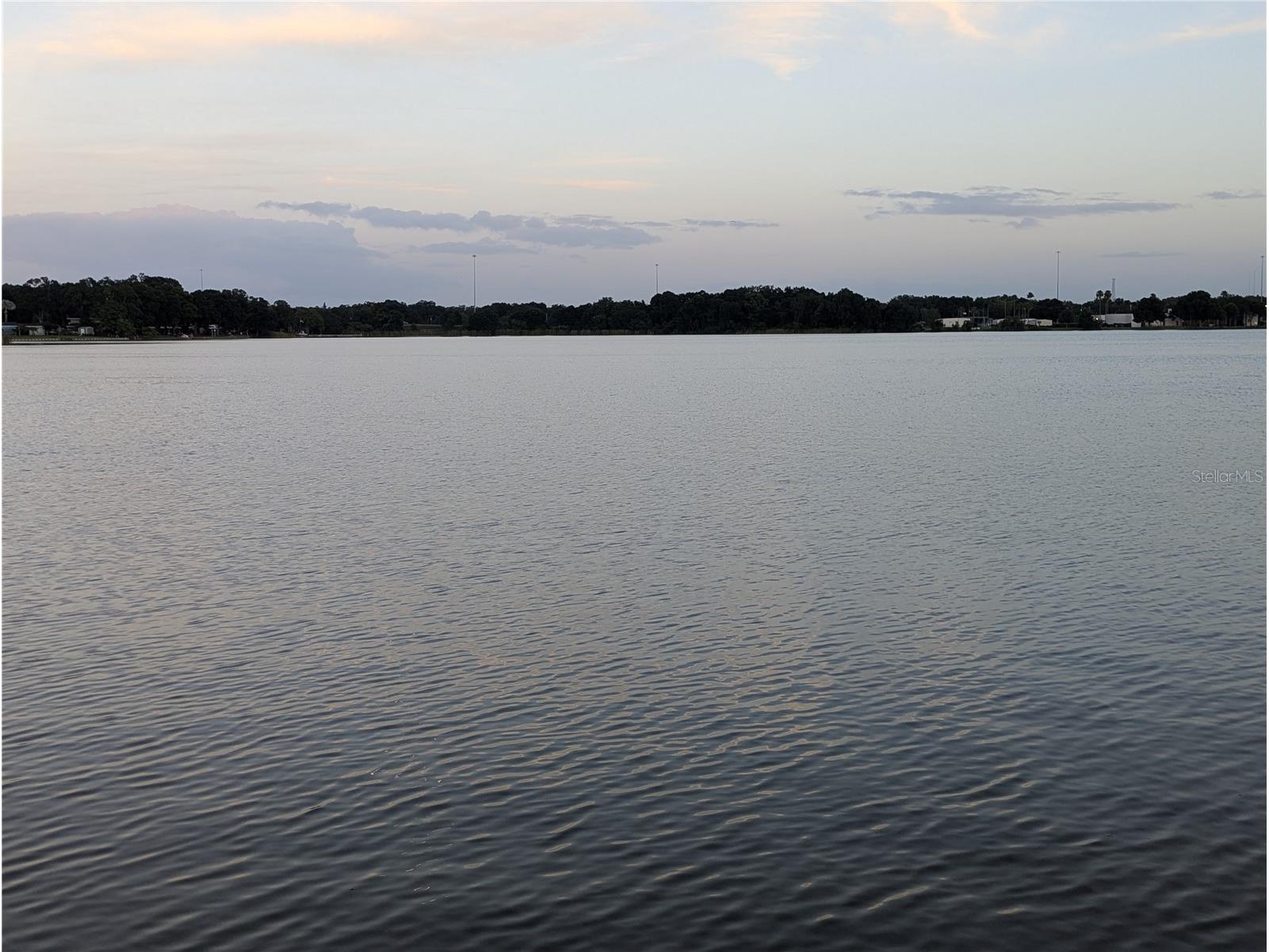 6517 Walton Way Tampa FL 33610 - BELLOW'S LAKE TB8480787 image9