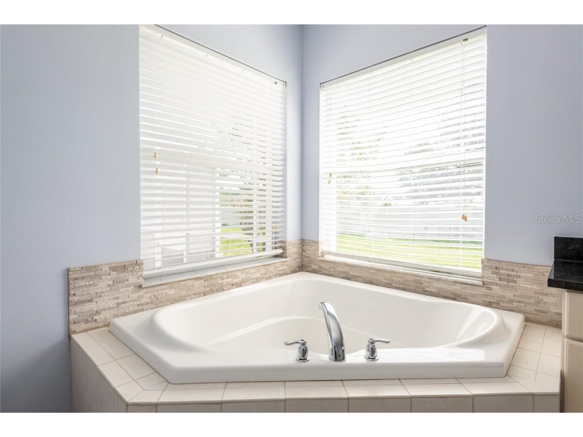 6518 Paw Place Land O Lakes FL 34639 TB8421605 image11