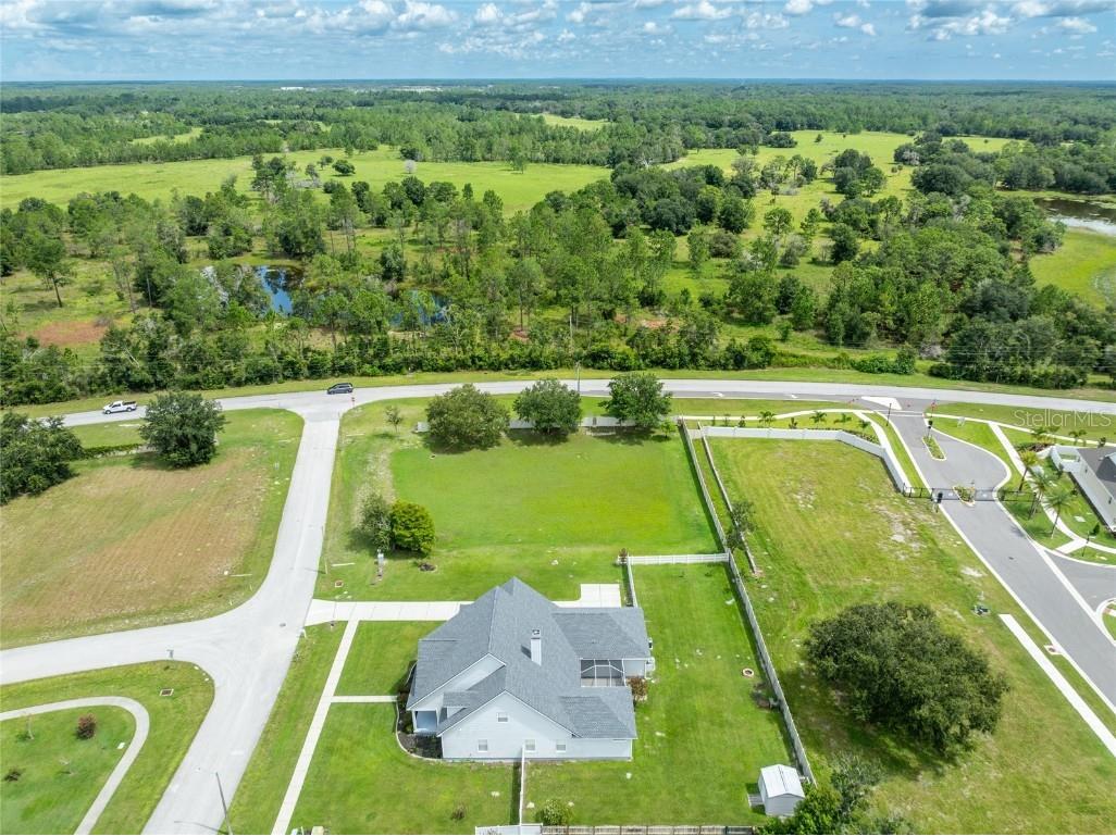 6518 Paw Place Land O Lakes FL 34639 TB8421605 image2