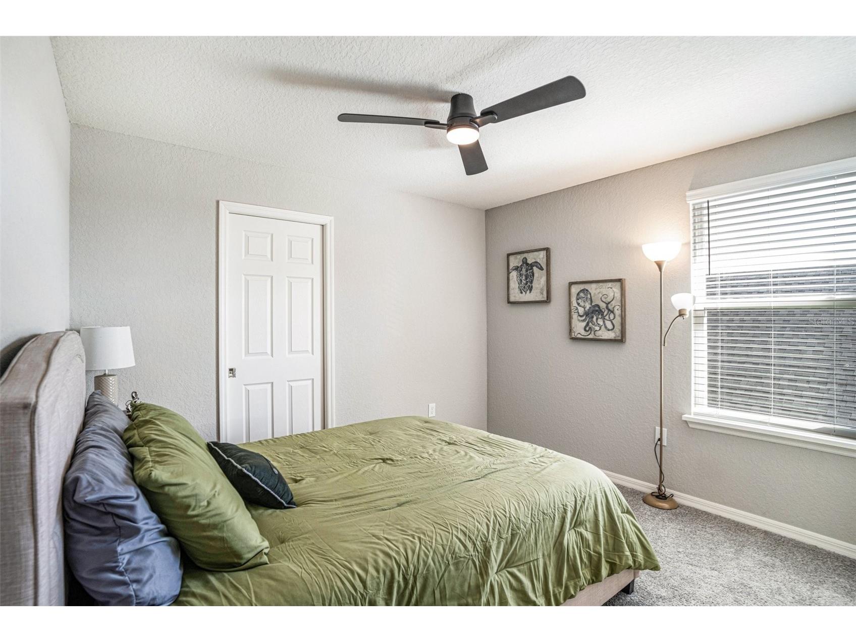 6518 Pebblebrooke Drive Zephyrhills FL 33541 TB8487833 image13