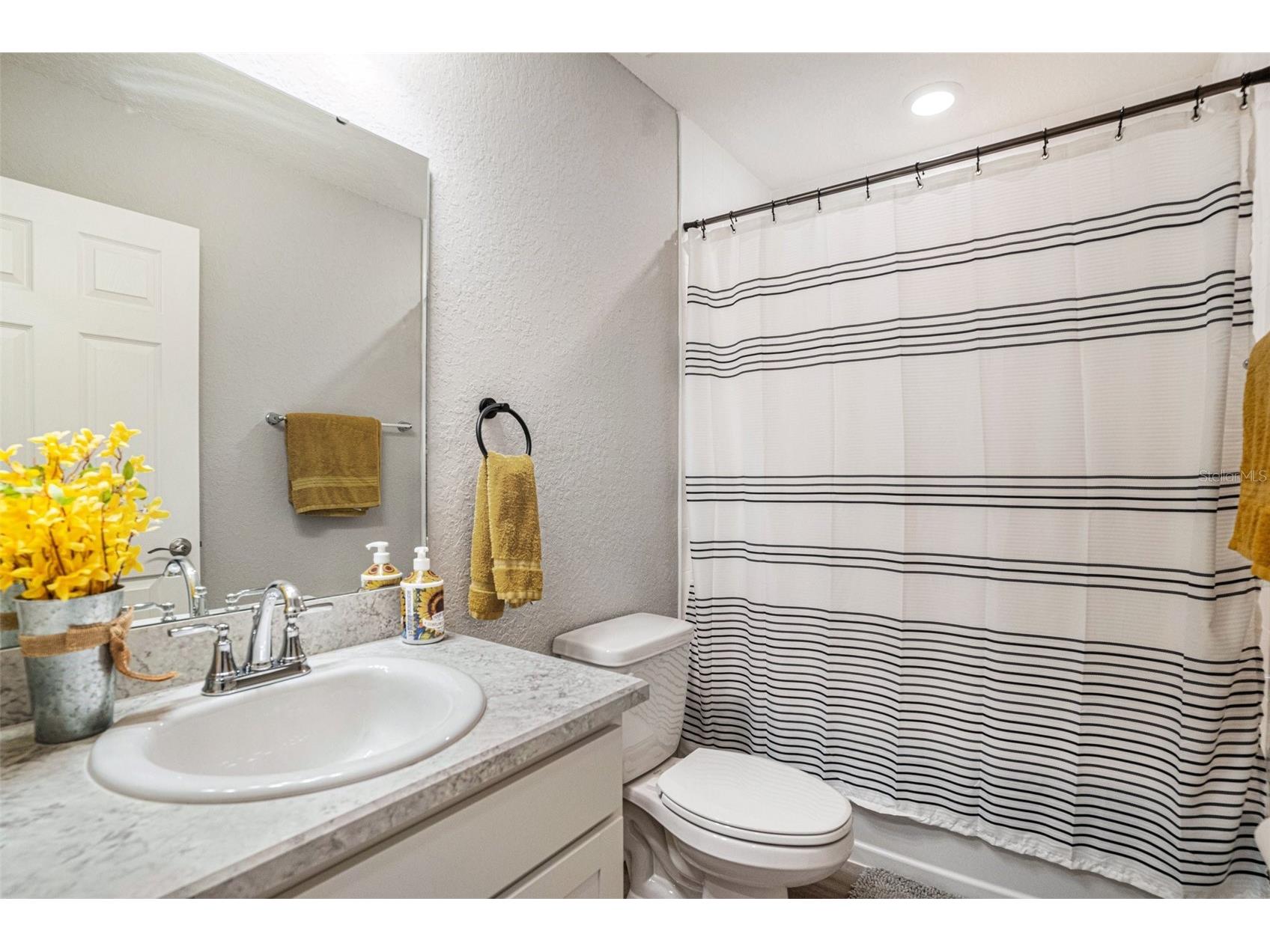 6518 Pebblebrooke Drive Zephyrhills FL 33541 TB8487833 image17