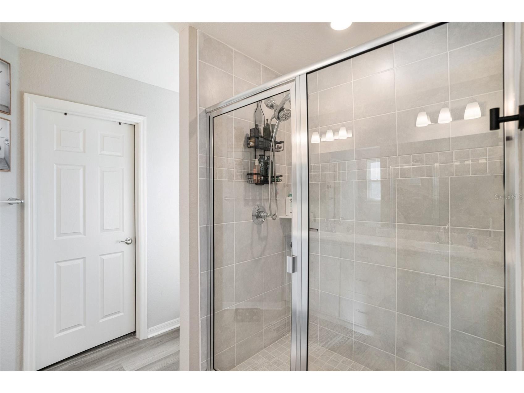 6518 Pebblebrooke Drive Zephyrhills FL 33541 TB8487833 image21