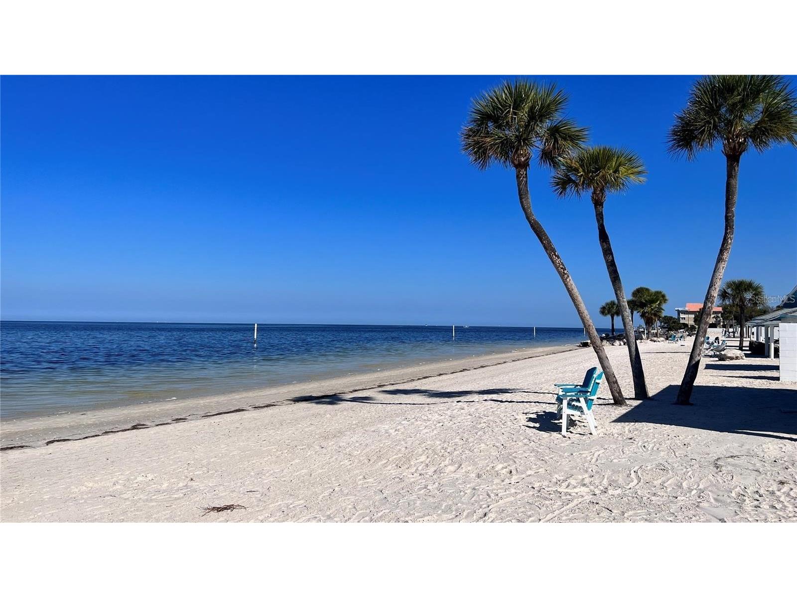 6518 Sand Shore Lane New Port Richey FL 34652 TB8488893 image64
