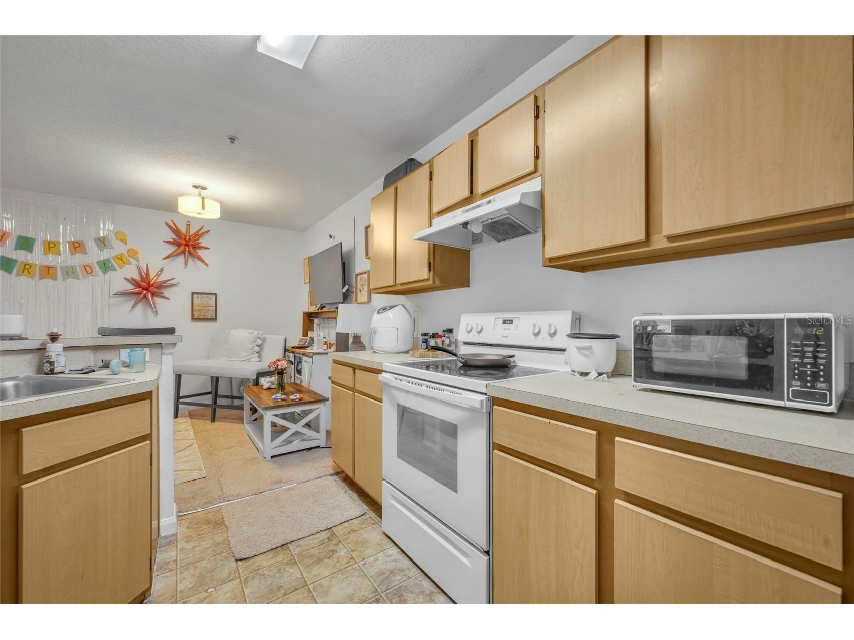 6518 Swissco Drive #1213 Orlando FL 32822 O6390908 image12