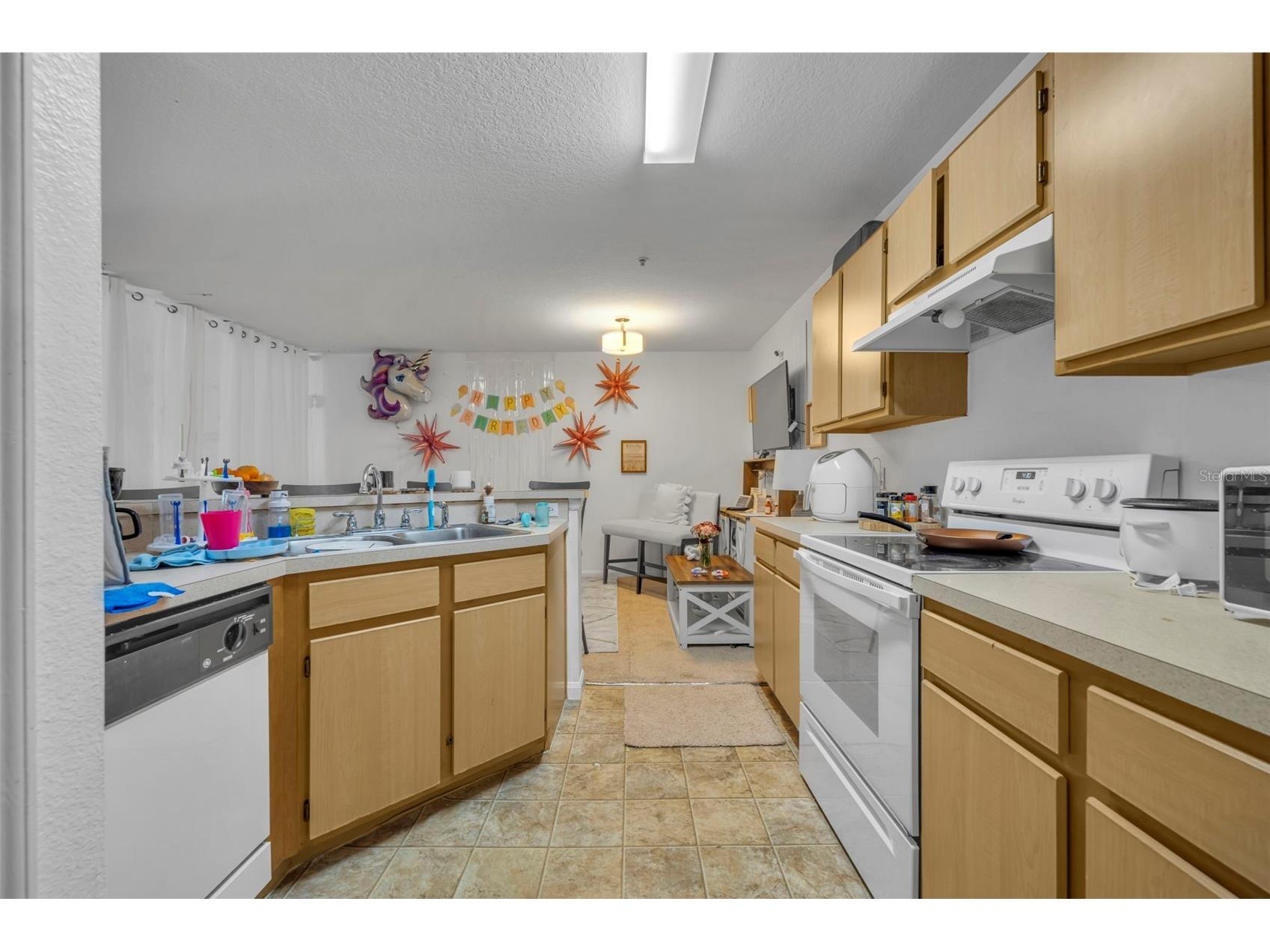 6518 Swissco Drive #1213 Orlando FL 32822 O6390908 image14