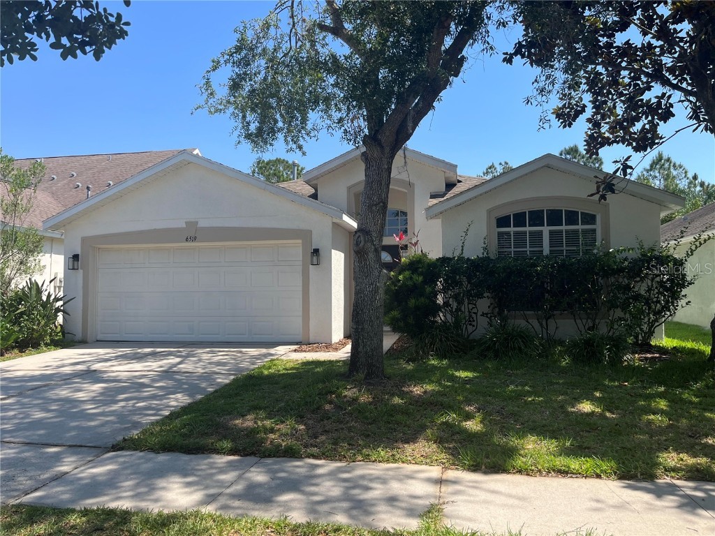 6519 Bridgecrest Drive Lithia FL 33547 T3440713 image1