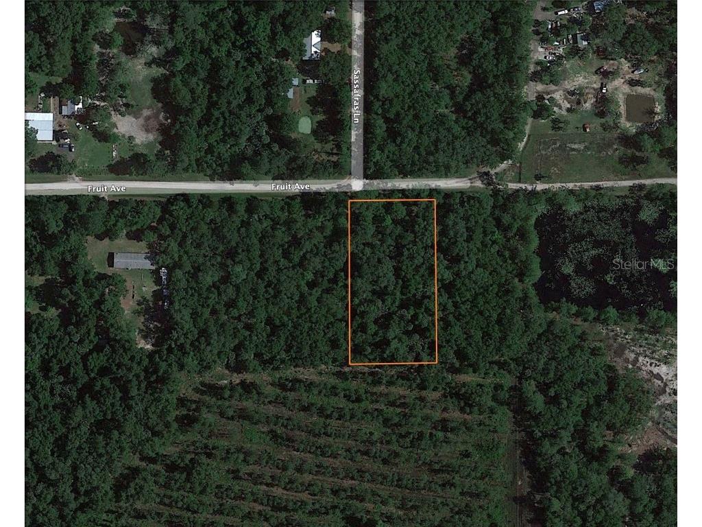6519 Fruit Avenue Bunnell FL 32110 TB8319653 image1