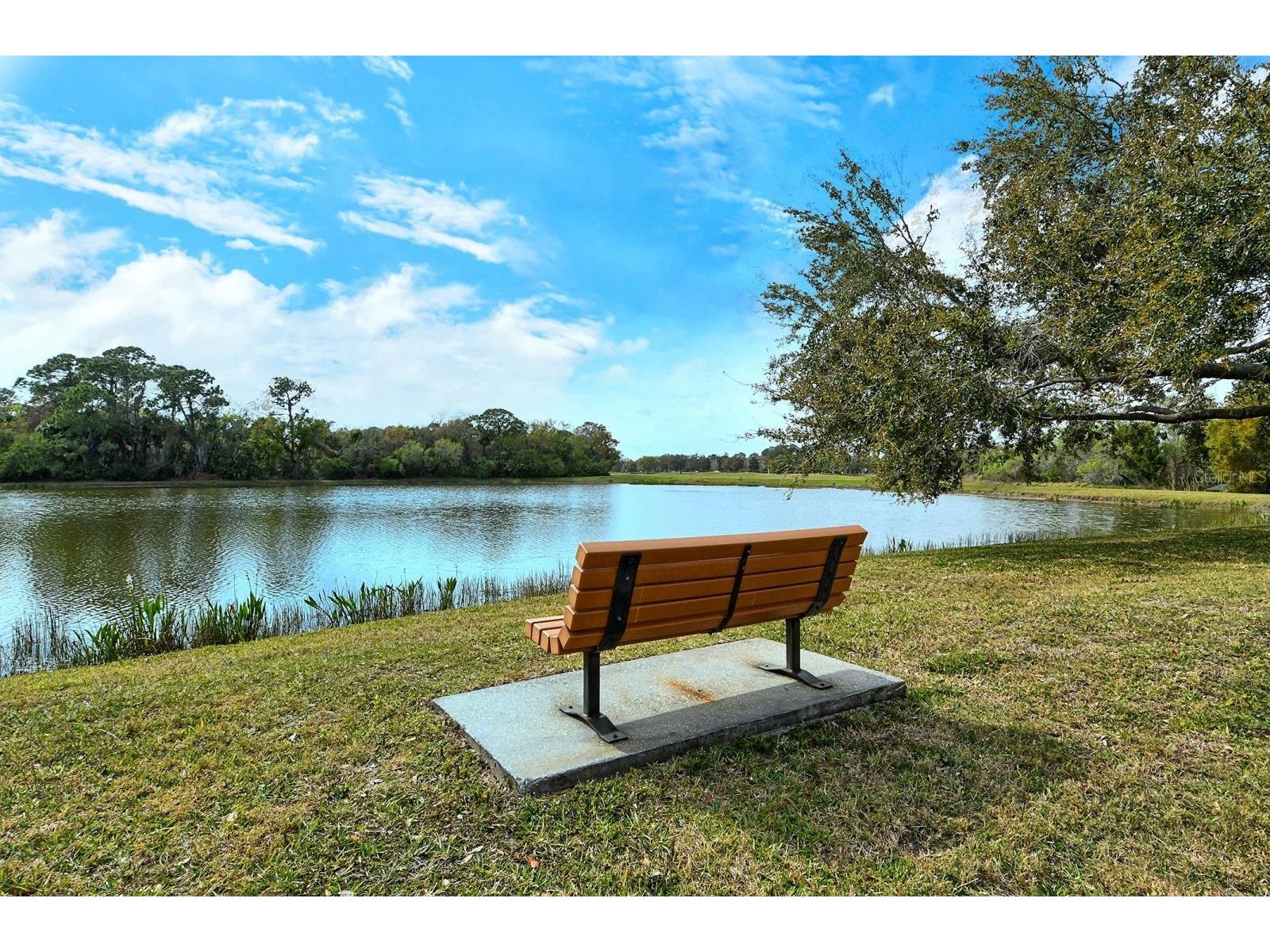 6519 Oakland Hills Drive Lakewood Ranch FL 34202 A4675838 image60